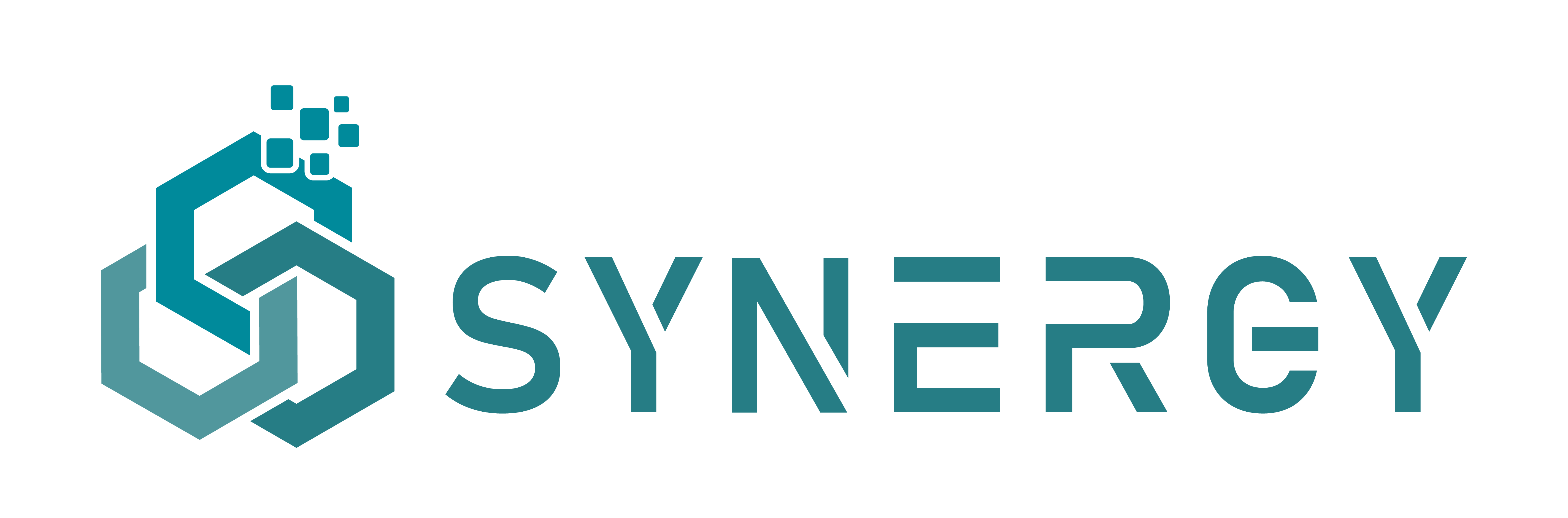 Synergy Logo Final