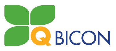 logo q bicon