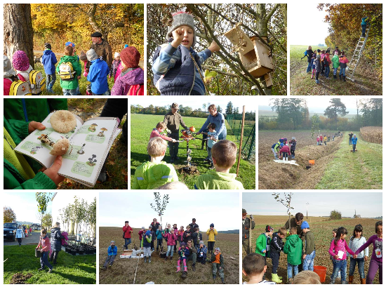 Collage 24 10 Dt. Tschantschendorf